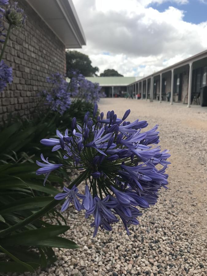 Lake Albert Motel Meningie Eksteriør bilde